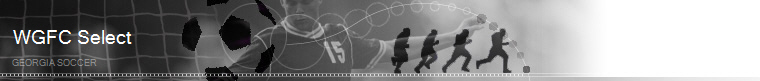 Georgia Soccer banner
